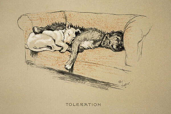 Toleration, 1930, 1st Edition of Sleeping Partners, Aldin