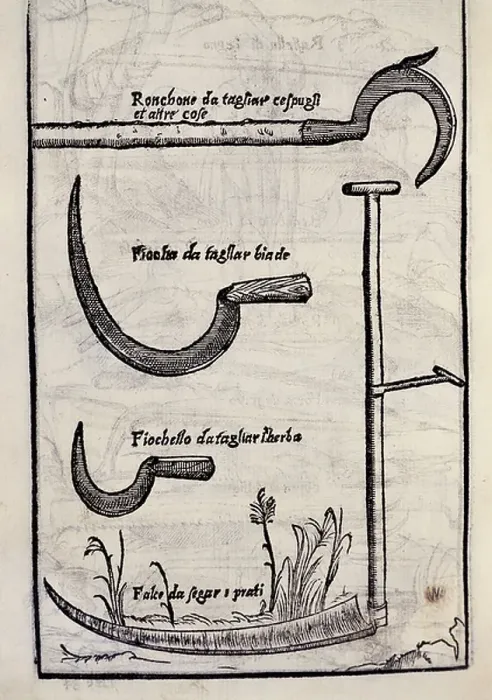 Framed Print : Tools for cutting herbs, table from Le venti giornate dell'agricoltura e dei piaceri della villa (Twenty days of agriculture and pleasures of villa), 1575, by Agostino Gallo (1499-1570), Venice, Italy, 16th century Framed Print : Tools for cutting herbs, table from Le venti giornate dell'agricoltura e dei piaceri della villa (Twenty days of agriculture and pleasures of villa), 1575, by Agostino Gallo (1499-1570), Venice, Italy, 16th century
