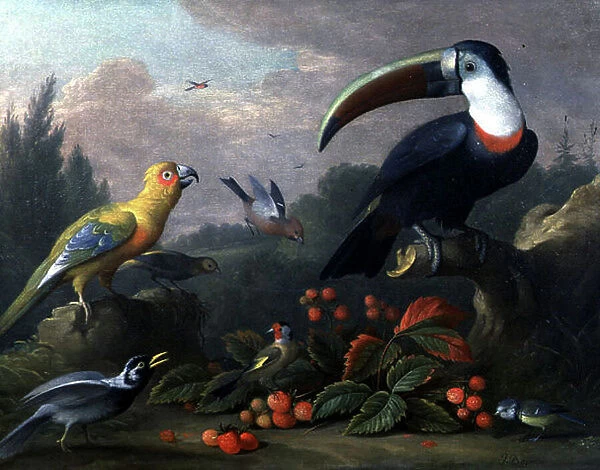Toucan with Other Birds (oil on canvas)
