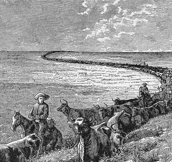 A Trail in the Great Plains, illustration from Harpers Weekly, 1874