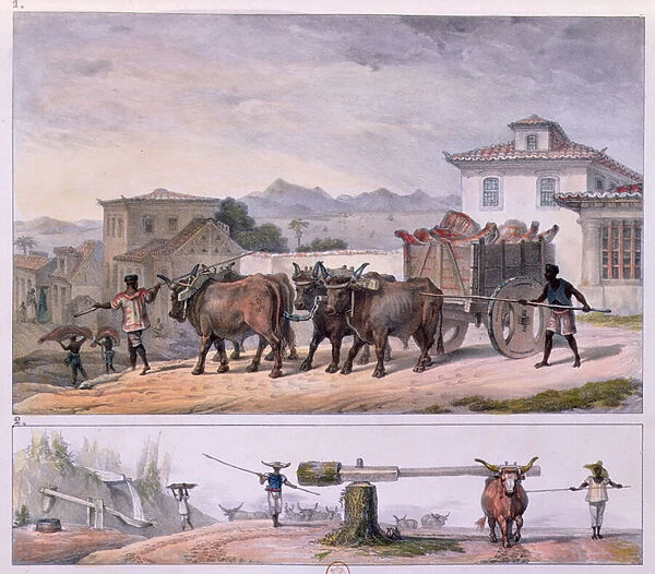 Transporting Meat and Taming an Ox, 1839 (colour litho)