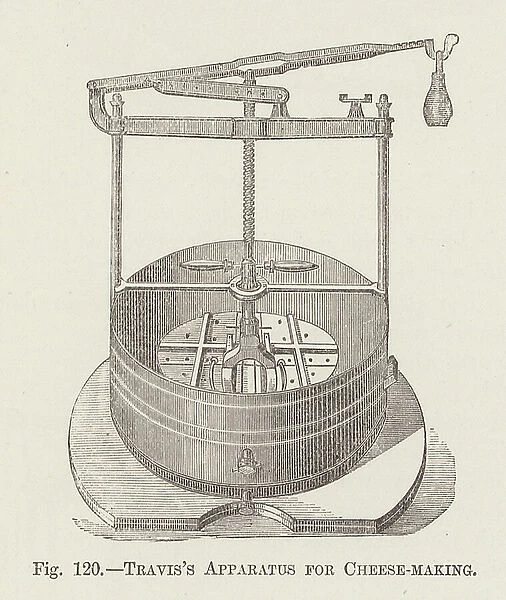 Travis's Apparatus for Cheese-making (engraving)