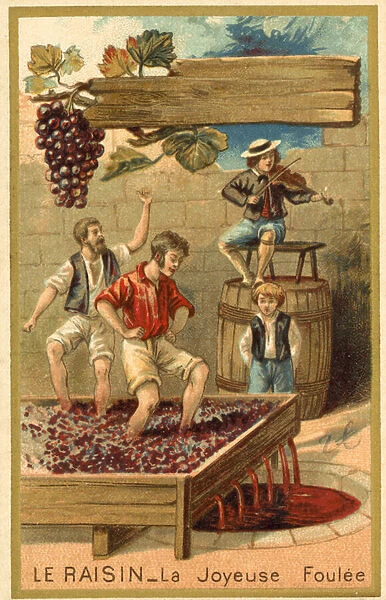 Treading grapes (chromolitho)