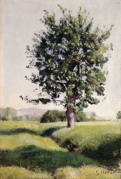 The Tree, 1895 (oil on canvas)