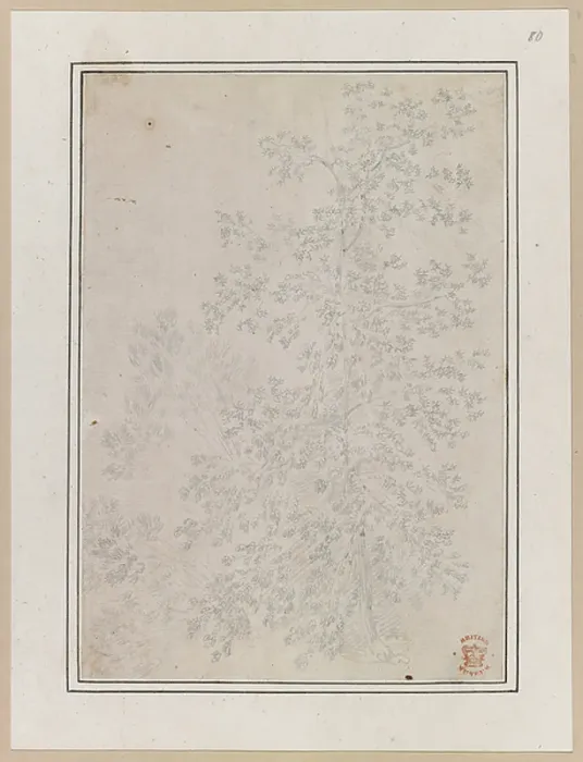 Framed Print : A tree. BL3291840 A tree.; British Library, London, UK; (add.info.