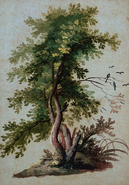 A Tree with Two Birds Perching on a Branch (pencil on paper)
