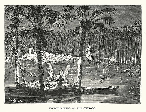 Tree-dwellers of the Orinoco (engraving)