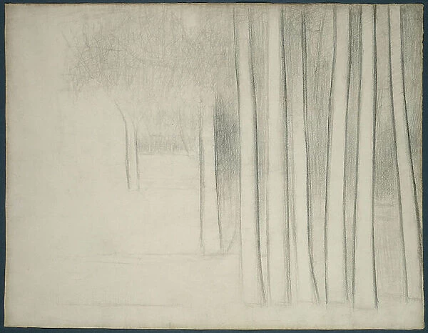 Tree Trunks (study for La Grande Jatte), 1884 (black conte crayon on ivory laid paper)