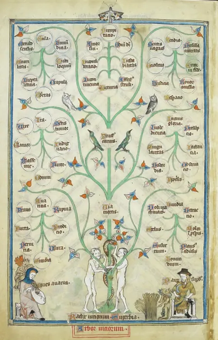 Framed Print : Tree of Vices