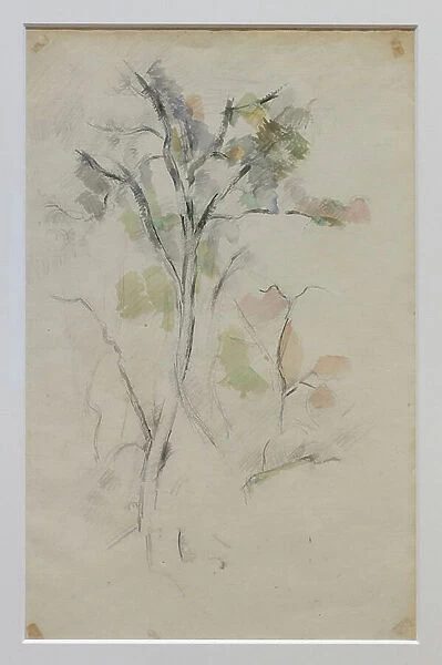 Trees, 1887-90 (pencil and aquarel on paper)