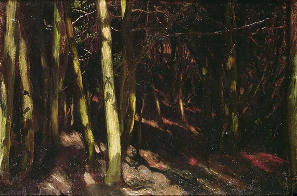 Trees, c. 1890 (oil on board)