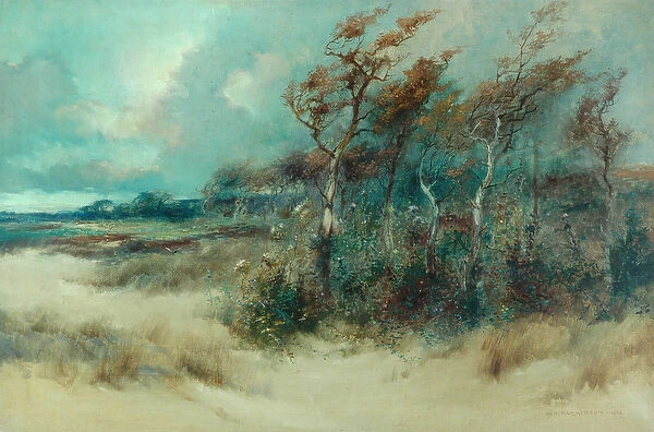 Trees in a Sandy Lane, Heysham, 1916 (oil on canvas)