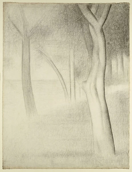 Trees (study for La Grande Jatte), 1884 (conte crayon on paper laid down on board)