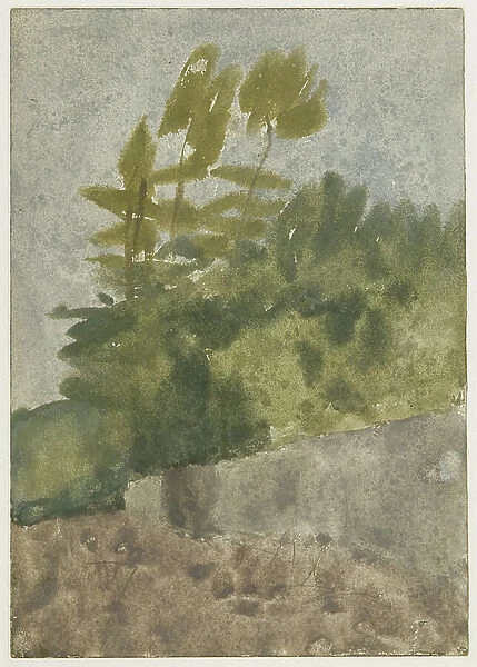 Trees (w / c, gouache & pencil on paper)