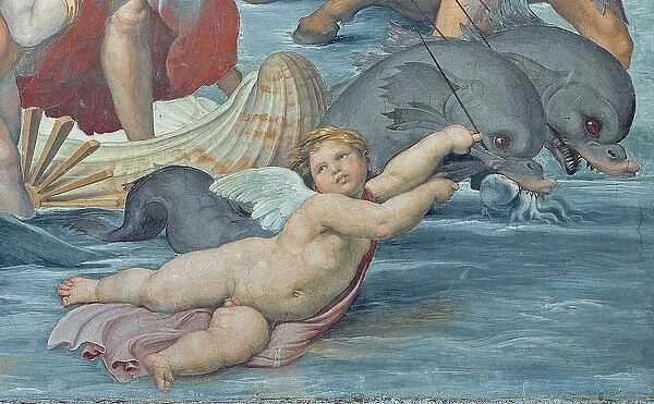 The Triumph of Galatea, 1512-14 (fresco) (detail of 56473)