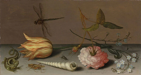 A tulip, a carnation, spray of forget-me-nots, with a shell, a lizard and a grasshopper