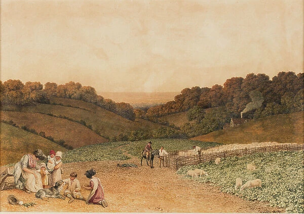 Turnip Field, 1818-1819 (watercolour on paper)