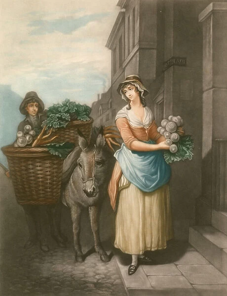 Turnips and carrots (coloured engraving)