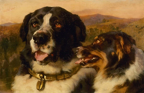 The Twa Dogs (oil on canvas)