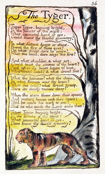 The Tyger, plate 36 (Bentley 42) from Songs of Innocence and of Experience