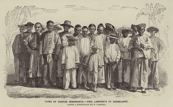 Types of Chinese Immigrants, Free Labourers at Guadeloupe (engraving)