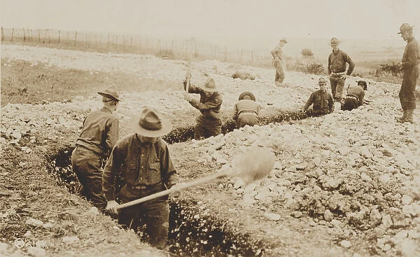 U. S. Marines in France Digging in, 1917-19 (b  /  w photo)