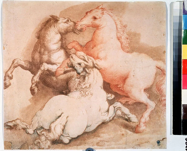 'Un combat de chevaux'(Fighting horses) Dessin a la plume, encre de l ecole italienne. 1550-1600 Musee Pouchkine, Moscou