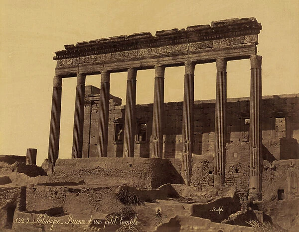 Unattached Colonnade before a Temple in Palmyra, Syria, 1867 (albumen print)