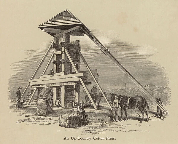 An Up-Country Cotton-Press (engraving)