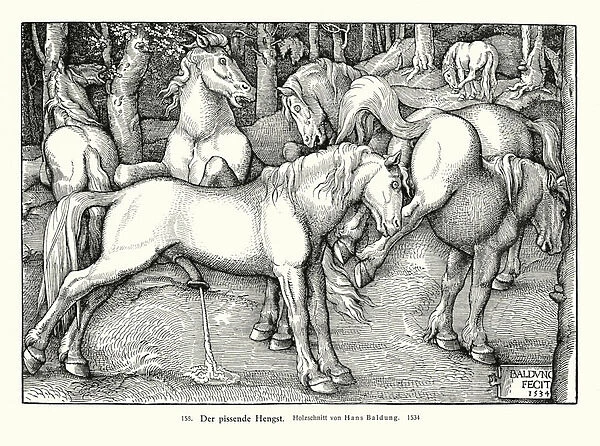 Urinating stallion (woodcut)
