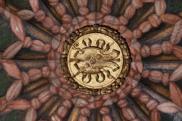 Detail of the vault, 1518-19 (fresco)