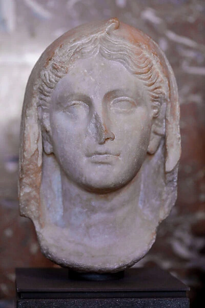 Veiled head of a woman, 1st century (marble sculpture)