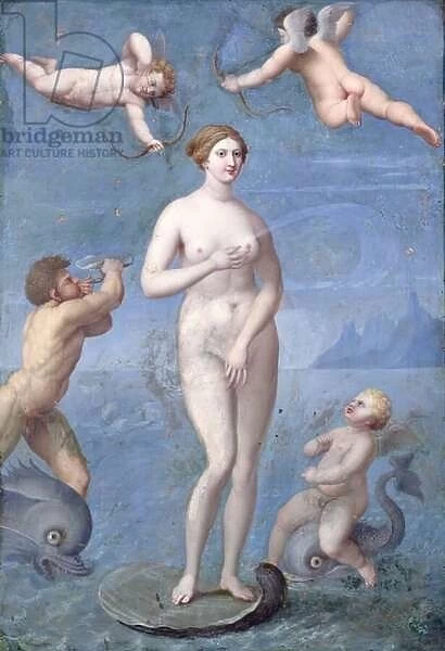 Venus, 1640 (oil & tempera on copper)