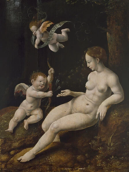 Venus and Two Cupids, c. 1528 (oil on panel)