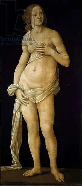 Venus (tempera on wood, c. 1490)