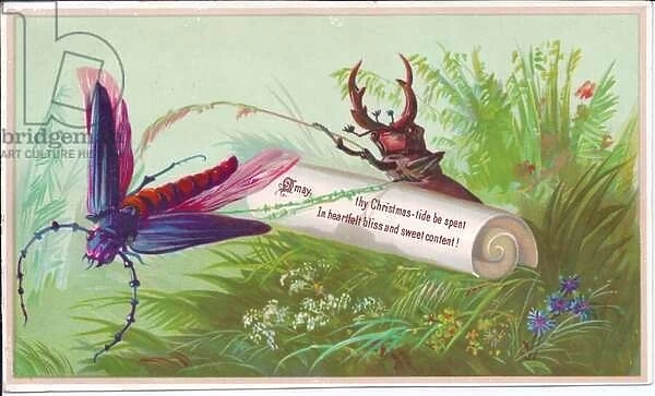 A Victorian Christmas card of an insect, stag beetle and scroll on which is a Christmas