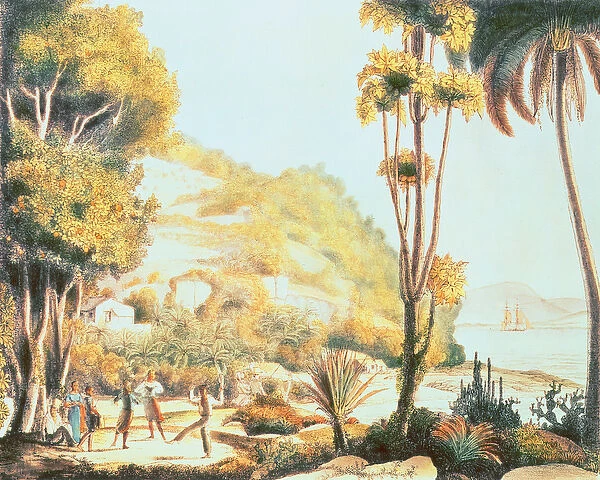 View of the coast of Brazil opposite the island of Santa Catarina, c. 1825 (litho)