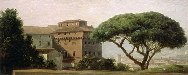 View of the convent of Ara Coeli: the umbrella pine (oil on paper)