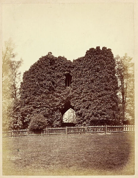 View of a folly in Roundhay Park (albumen print)