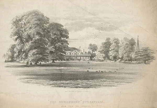 View from the grounds of The Shrubbery (engraving)