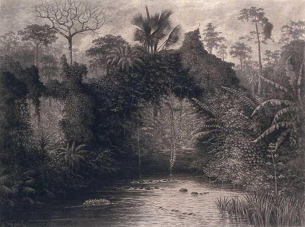 View of the Gulf of Biafra, West Africa, 1877 (charcoal on paper)