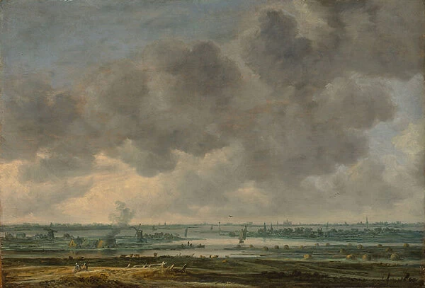 View of Haarlem and the Haarlemmer Meer, 1646 (oil on wood)
