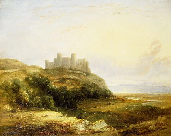 A View of Harlech Castle