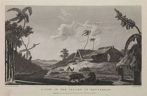 A View in the Island of Rotterdam, 1777 (engraving & etching)