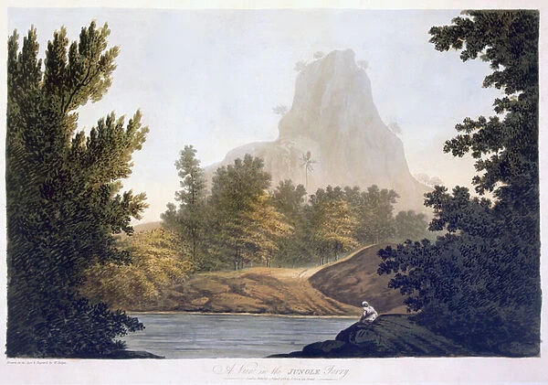 View of the Jungle, 1788 (aquatint)