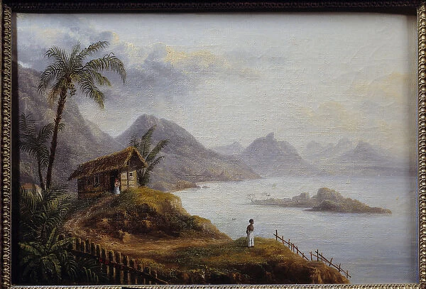 View of Martinique. Anonymous painting, 19th century. Brest, Musee Des Beaux Arts