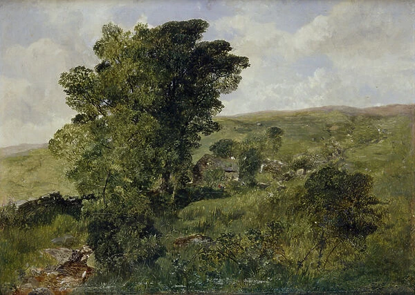 View of Nantlle, Caernarvonshire, 1855 (oil on canvas)