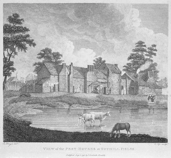 View of the Pest-Houses at Tothill Fields engraved by Charles Pye, 1796 (engraving)