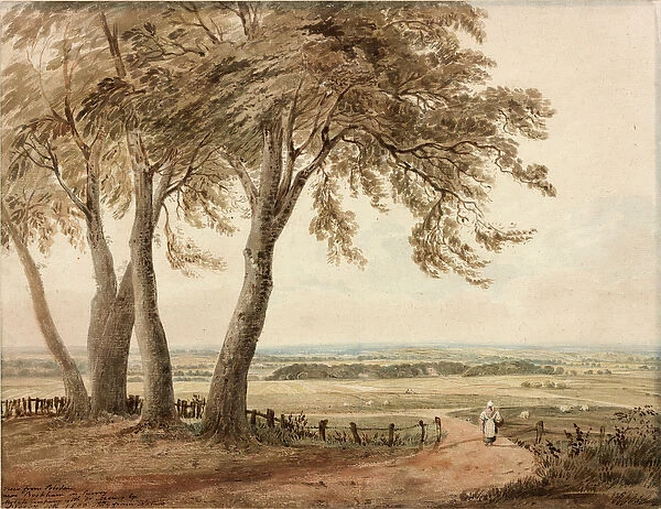 View from Polesden, Surrey, 1800 (w  /  c on paper)