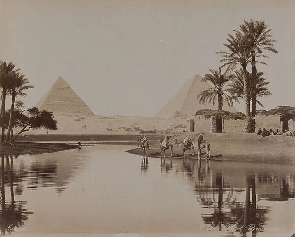 View of the Pyramids, Egypt, 1893 (b  /  w photo)
